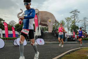 BIB: 
                            <button type="button" onclick="openModal(26528525)" class="btn btn-primary btn-sm float-right btn-popup" data-toggle="modal" data-target=".modal-high-quality">
                        <i class="fas fa-shopping-cart"></i> Add to Cart
                    </button>
                                            <button type="button" onclick="isThisMe(26528525, true)" class="btn btn-success btn-sm float-right btn-popup btn-isme hidden" data-toggle="tooltip" data-placement="bottom" title="นี่คือรูปของคุณใช่ไหม คลิกที่นี่เพื่อเอาเข้าอัลบั้ม">
                        <i class="fas fa-plus"></i> Add to album
                    </button>
                    <button type="button" onclick="isThisMe(26528525, false)" class="btn btn-warning btn-sm float-right btn-popup btn-isnotme hidden">
                        <i class="fas fa-ban"></i> Remove from album
                    </button>